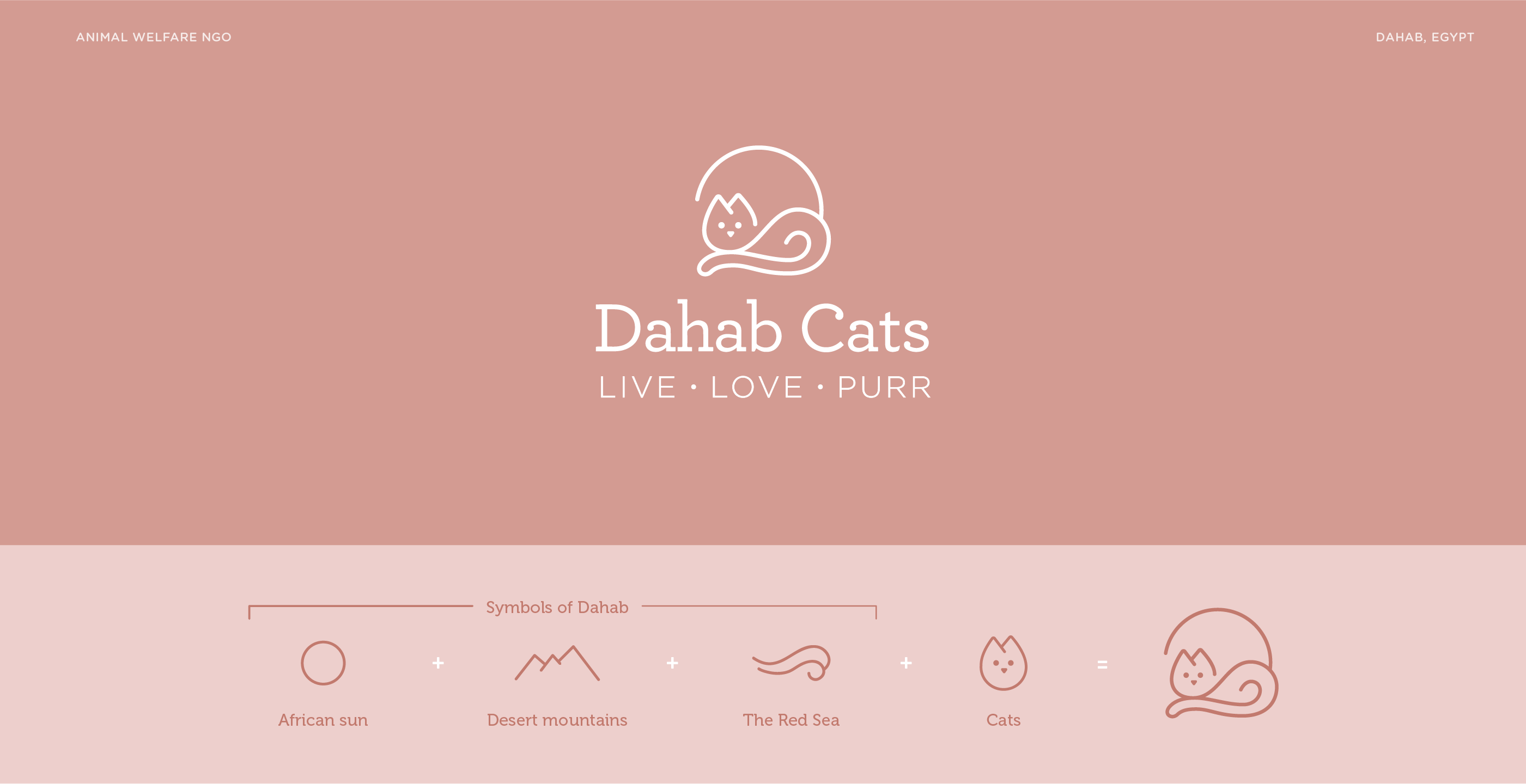 Dahab Cats – animal welfare